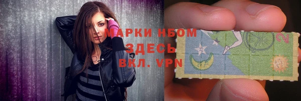 мяу мяу мука Инсар