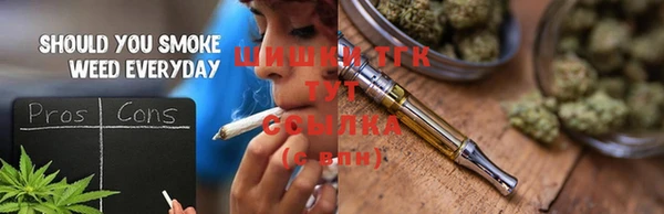 мяу мяу мука Инсар