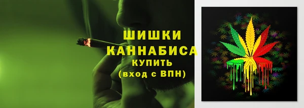 ешки Каменногорск