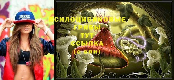 мяу мяу мука Инсар