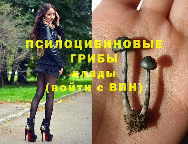мяу мяу мука Инсар