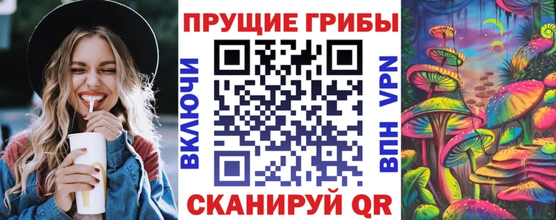 Купить где  Гуково  Псилоцибиновые грибы прущие грибы 